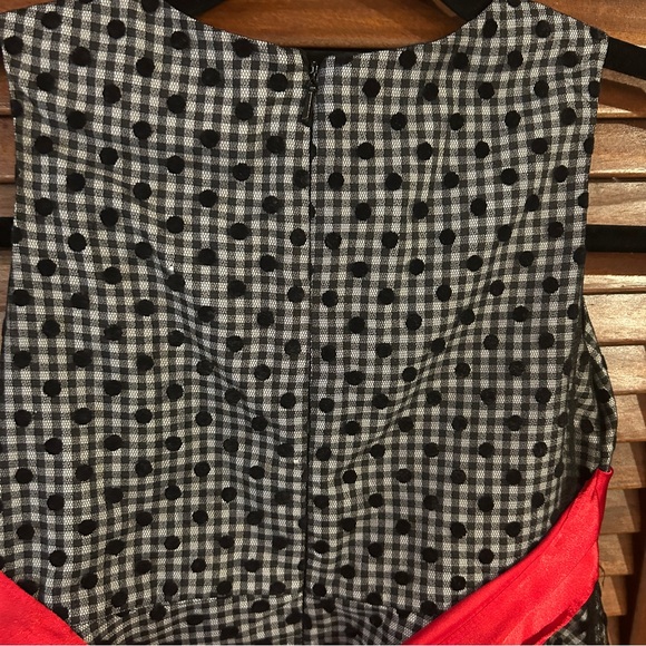 Samantha Says Black Gingham Dress with Red Bow - Picture 10 of 13